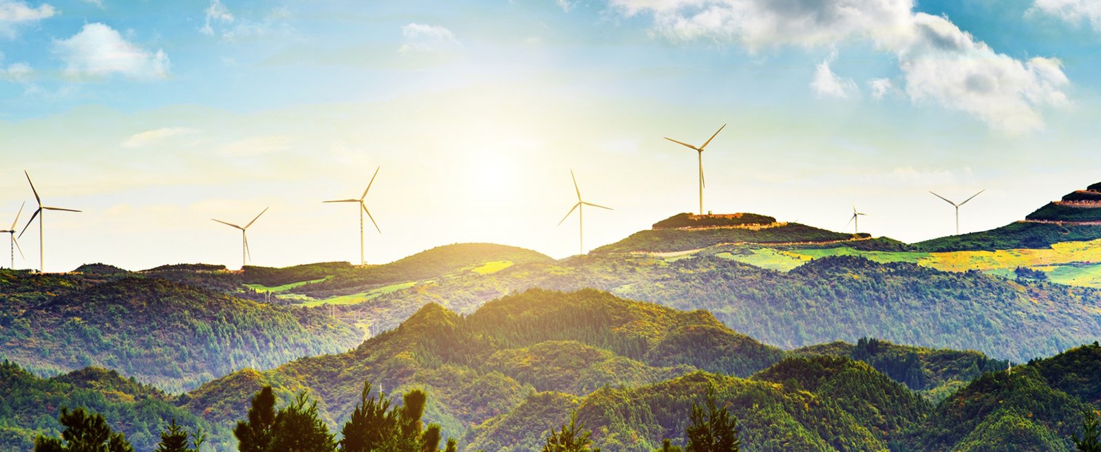 Commitment to Quality & Sustainability